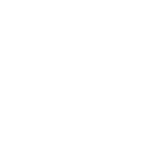 Inspect Icon